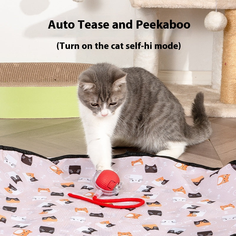 kattenspeelkussen met zelf-hi rollende bal!