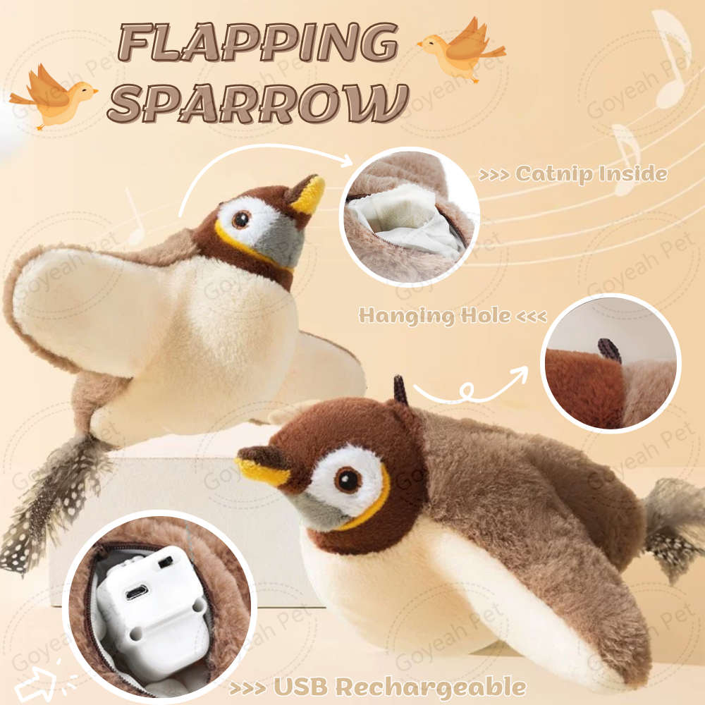 vogel jager voor katten