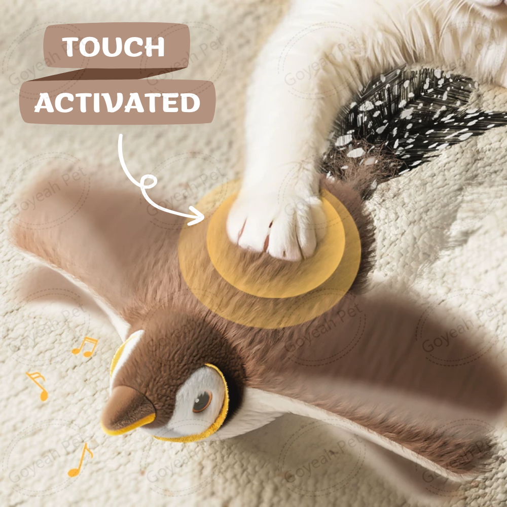 vogel jager voor katten